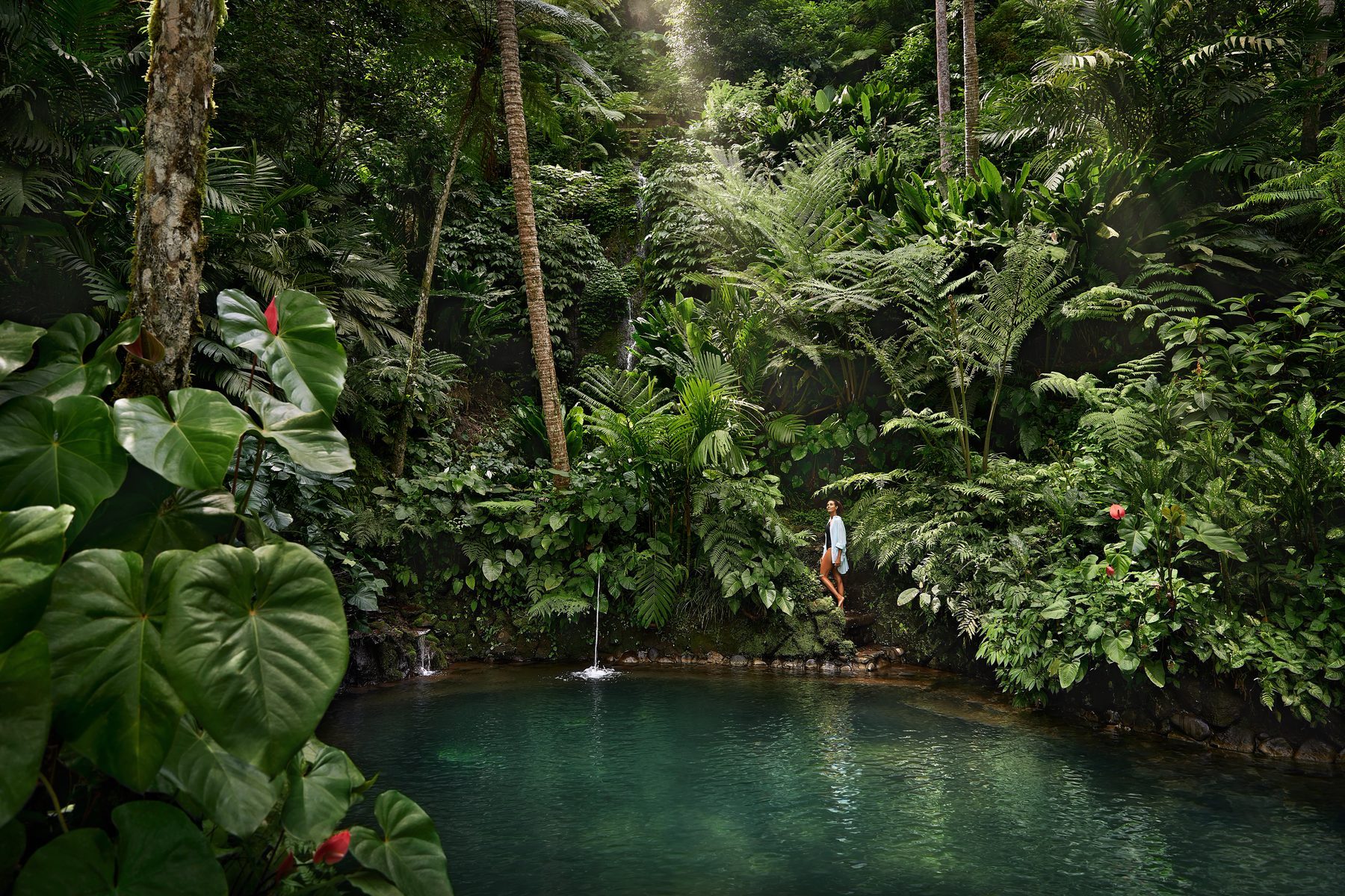 Bassa Explorer — Raja Ampat